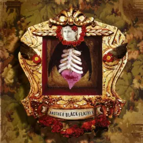 Couverture du produit · Another Black Feather...