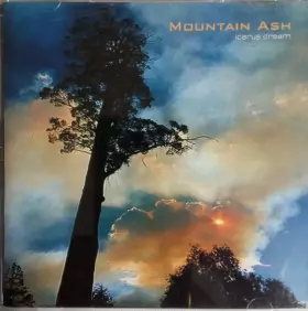 Couverture du produit · Icarus Dream