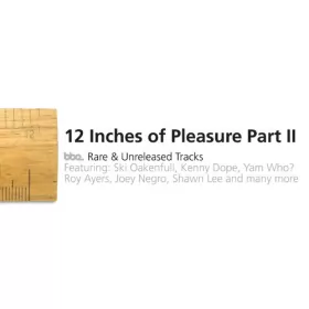 Couverture du produit · 12 Inches Of Pleasure Part II (BBE Rare & Unreleased Tracks)