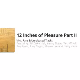 Couverture du produit · 12 Inches Of Pleasure Part II (BBE Rare & Unreleased Tracks)