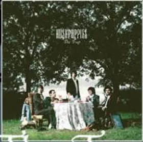 Couverture du produit · The Trap