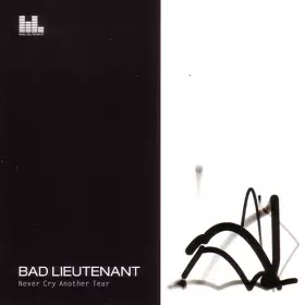 Couverture du produit · Never Cry Another Tear