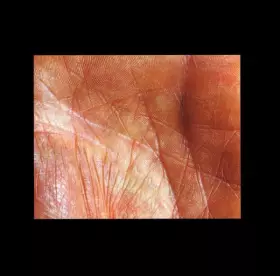 Couverture du produit · UB/ABU