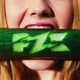 Couverture du produit · Pzk
