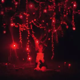 Couverture du produit · The Danger Of Light