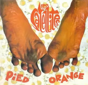 Couverture du produit · Pied Orange