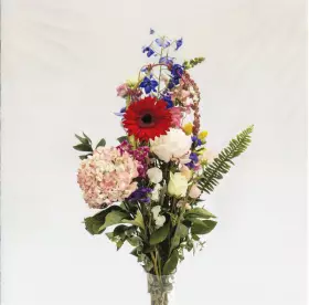 Couverture du produit · 2013