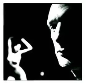 Couverture du produit · Heliotropes