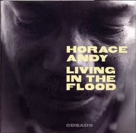 Couverture du produit · Living In The Flood