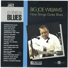 Couverture du produit · Nine Strings Guitar Blues