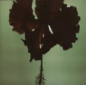 Couverture du produit · Disarmed