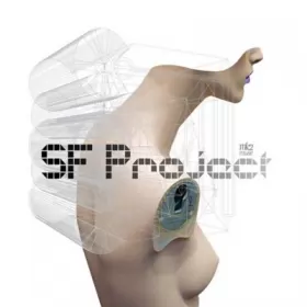 Couverture du produit · Sf Project