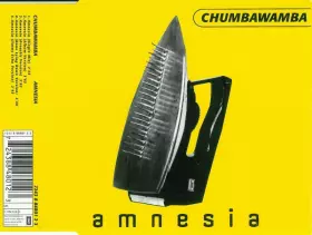 Couverture du produit · Amnesia