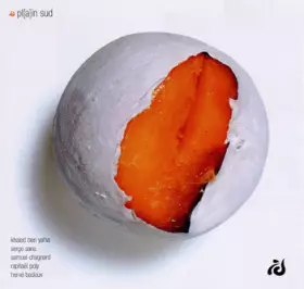 Couverture du produit · Pl[a]in Sud