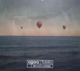 Couverture du produit · Le Troisième Choix