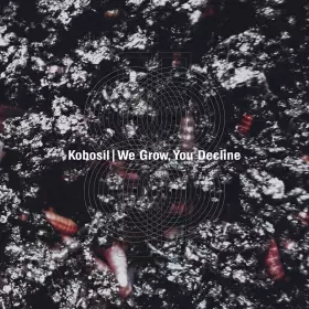 Couverture du produit · We Grow, You Decline