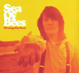 Couverture du produit · Orangefarben