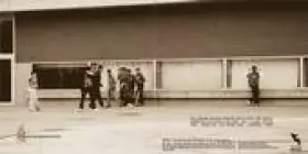 Couverture du produit · Les Oiseaux Ne S'envolent Plus