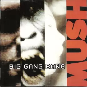 Couverture du produit · Big Gang Bang