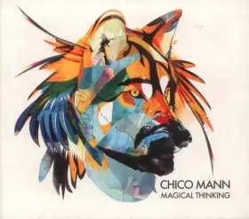 Couverture du produit · Magical Thinking