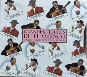 Couverture du produit · Grandes Figures Du Flamenco  Vols. 9 - 12