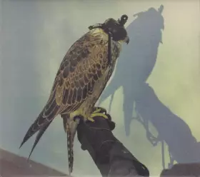 Couverture du produit · You're Nothing