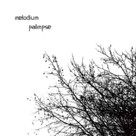 Couverture du produit · Palimpse