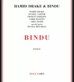 Couverture du produit · Bindu