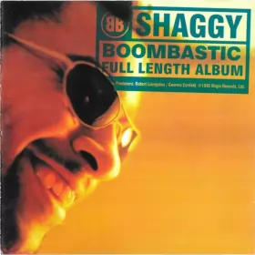 Couverture du produit · Boombastic