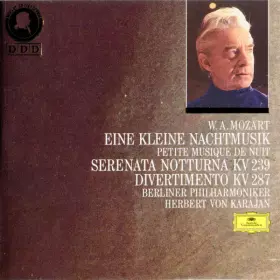 Couverture du produit · Eine Kleine Nachtmusik / Serenata Notturna KV 239 / Divertimento KV 287