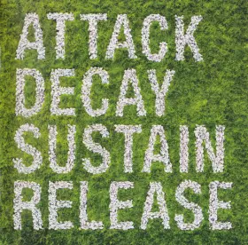 Couverture du produit · Attack Decay Sustain Release