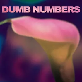 Couverture du produit · Dumb Numbers
