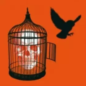 Couverture du produit · Yer Fire