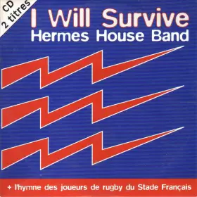 Couverture du produit · I Will Survive