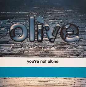 Couverture du produit · You're Not Alone