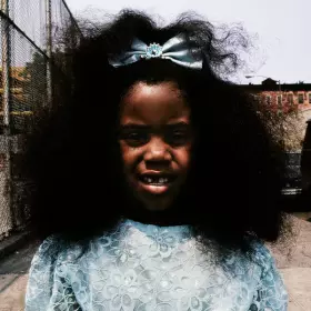 Couverture du produit · Black Terry Cat