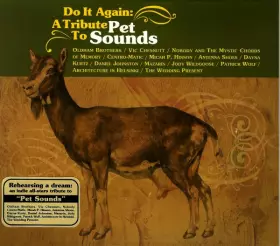 Couverture du produit · Do It Again: A Tribute To Pet Sounds