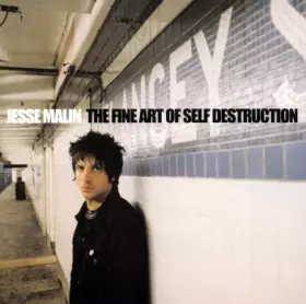 Couverture du produit · The Fine Art Of Self Destruction