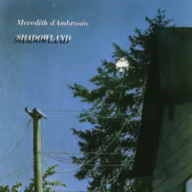 Couverture du produit · Shadowland