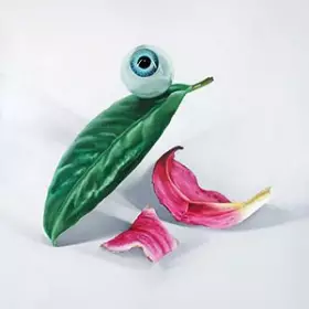 Couverture du produit · Petals Have Fallen