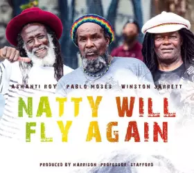 Couverture du produit · Natty Will Fly Again
