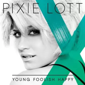 Couverture du produit · Young Foolish Happy