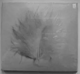 Couverture du produit · Das Jahr Der Taube - Eine Selektion Von  Richard Dorfmeister