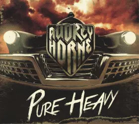 Couverture du produit · Pure Heavy