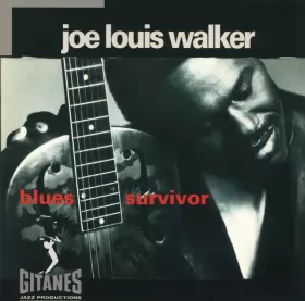 Couverture du produit · Blues Survivor