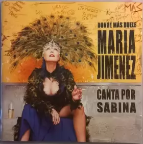 Couverture du produit · Donde Más Duele (Canta Por Sabina)