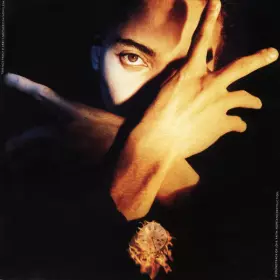 Couverture du produit · Terence Trent D'Arby's Neither Fish Nor Flesh: A Soundtrack Of Love, Faith, Hope, And Destruction