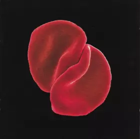 Couverture du produit · Scratch My Back