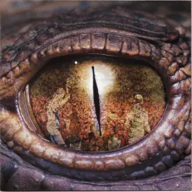 Couverture du produit · Rodrigo Y Gabriela