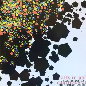 Couverture du produit · Courtcase 2000